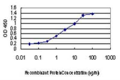 ELISA: CDKL1 Antibody (2H6) [H00008814-M05]