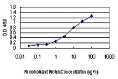 ELISA: CDKL1 Antibody (3G8) [H00008814-M06]