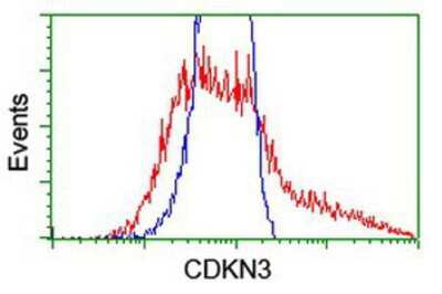 Flow Cytometry: CDKN3 Antibody (OTI2E11) [NBP2-01245]