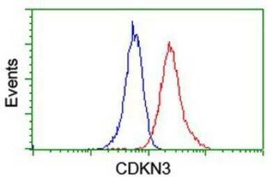 Flow Cytometry: CDKN3 Antibody (OTI2E11) - Azide and BSA Free [NBP2-70399]