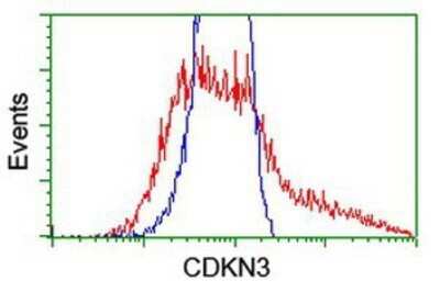 Flow Cytometry: CDKN3 Antibody (OTI2E11) - Azide and BSA Free [NBP2-70399]