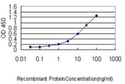 ELISA: CDP/CUTL1 Antibody (2A10) [H00001523-M01]