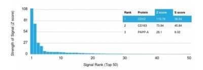 Protein Array: CDX2 Antibody (CDX2/1690) [NBP2-53247]
