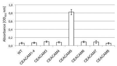 ELISA: CEACAM5/CD66e Antibody (5C8C4) - BSA Free [NBP2-54625]