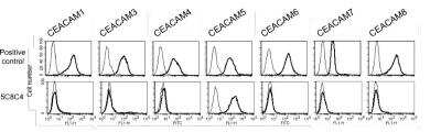 Flow Cytometry: CEACAM5/CD66e Antibody (5C8C4) - BSA Free [NBP2-54625]