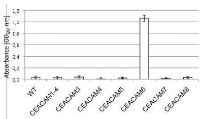 ELISA: CEACAM6/CD66c Antibody (1H7-4B) - BSA Free [NBP2-54626]