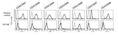 Flow Cytometry: CEACAM6/CD66c Antibody (1H7-4B) - BSA Free [NBP2-54626]