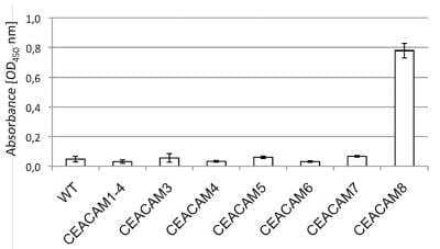 ELISA: CEACAM8/CD66b Antibody (6/40c) - BSA Free [NBP2-54627]