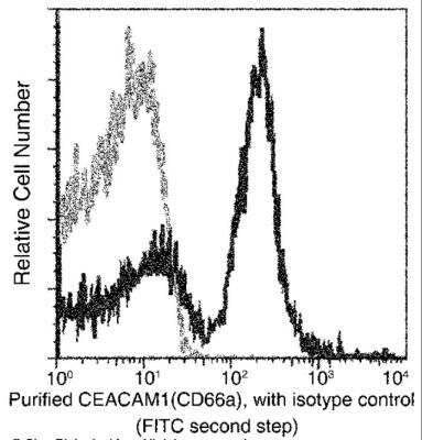 Flow Cytometry: CEACAM1/CD66a Antibody (117) [NBP2-90641]