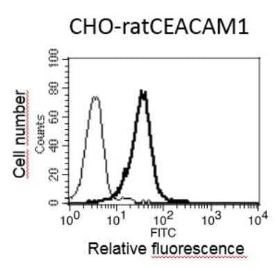 Flow Cytometry: CEACAM1/CD66a Antibody (F7) - BSA Free [NBP2-59673]