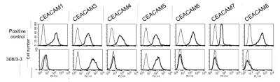 Flow Cytometry: CEACAM5/CD66e Antibody (308/3-3) - BSA Free [NBP2-54624]