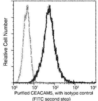 Flow Cytometry: CEACAM5/CD66e Antibody (061) [NBP2-89785]