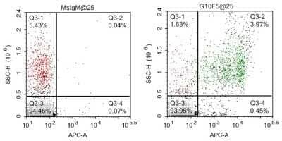 Flow Cytometry: CEACAM8/CD66b Antibody (G10F5) - Azide and BSA Free [NBP2-80664]