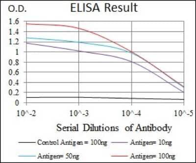 ELISA: CEBP alpha Antibody (4E10) - BSA Free [NBP2-37501]