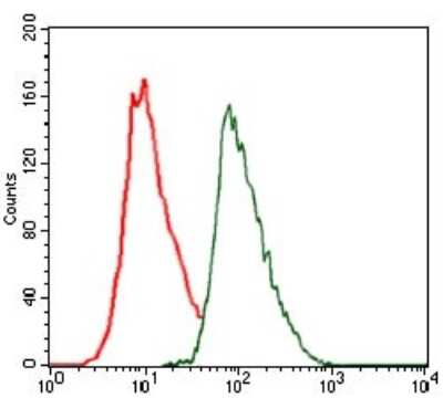 Flow Cytometry: CEBP alpha Antibody (4E10) - BSA Free [NBP2-37501]