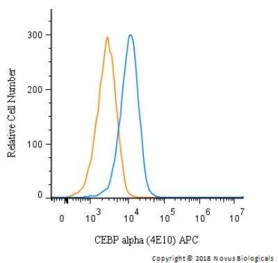 Flow Cytometry: CEBP alpha Antibody (4E10) - BSA Free [NBP2-37501]
