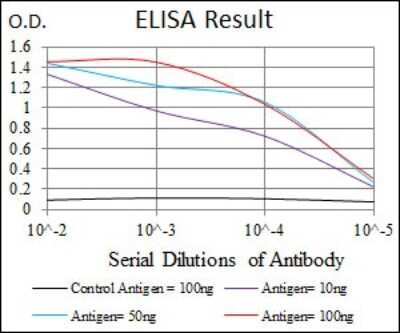 ELISA: CEBP alpha Antibody (5B7) - BSA Free [NBP2-37497]