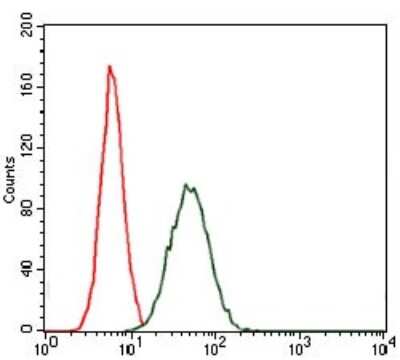 Flow Cytometry: CEBP alpha Antibody (5B7) - BSA Free [NBP2-37497]