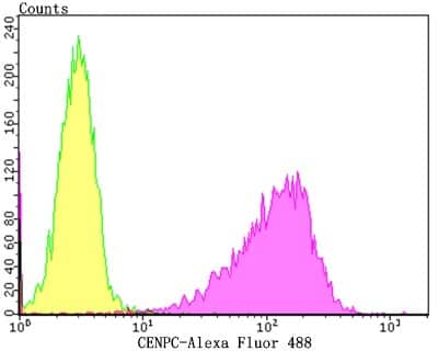 Flow Cytometry: CENPC Antibody (JG36-15) [NBP2-75438]