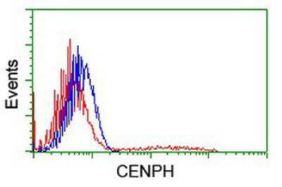 Flow Cytometry: CENPH Antibody (OTI2G4) [NBP2-01449]