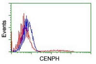 Flow Cytometry: CENPH Antibody (OTI2G4) - Azide and BSA Free [NBP2-72163]