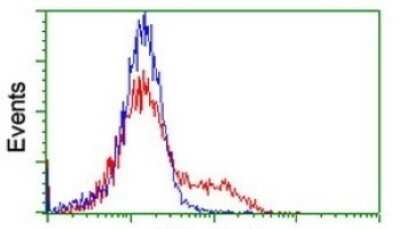 Flow Cytometry: CGI 62 Antibody (OTI4C1) - Azide and BSA Free [NBP2-71896]