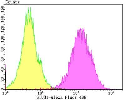 Flow Cytometry: CHIP/STUB1 Antibody (JG38-22) [NBP2-75440]