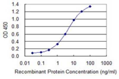 ELISA: CIDEC Antibody (2E2) [H00063924-M07]
