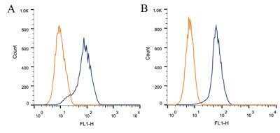 Flow Cytometry: CIP2A Antibody (2G10) [NB110-59722]