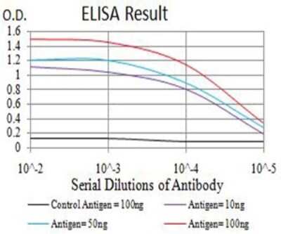 ELISA: CIRBP Antibody (6E12D5) - BSA Free [NBP2-61735]