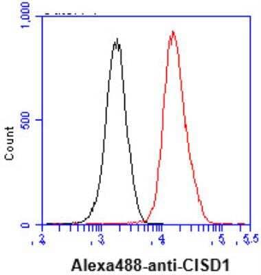 Flow Cytometry: CISD1 Antibody (1A8) - BSA Free [NBP2-22567]