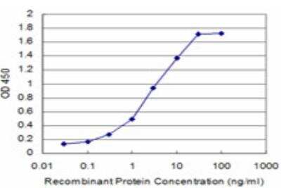 ELISA: CITED1 Antibody (6E12) [H00004435-M04]