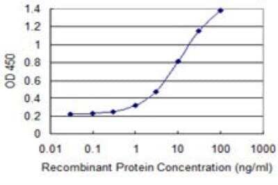 ELISA: CKAP2 Antibody (3B9) [H00026586-M08]