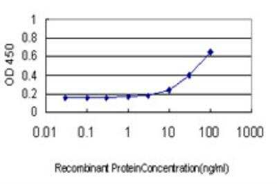 ELISA: CKS2 Antibody (2H5-2C4) [H00001164-M01]