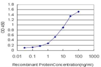 ELISA: CLCA1 Antibody (2C10) [H00001179-M03]