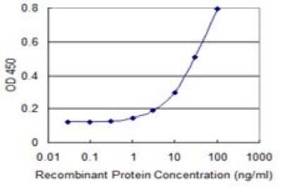 ELISA: CLCN6 Antibody (2H2) [H00001185-M05]