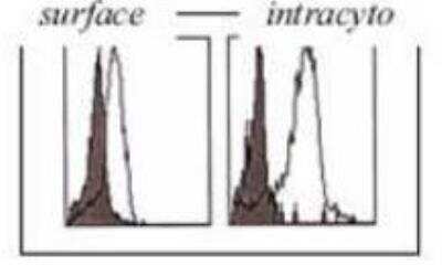 Flow Cytometry: CLEC10A/CD301 Antibody (121A5.01) [DDX0011P-100]