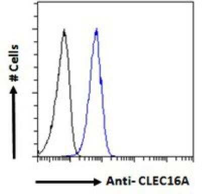 Flow Cytometry: CLEC16A Antibody [NBP1-00171]