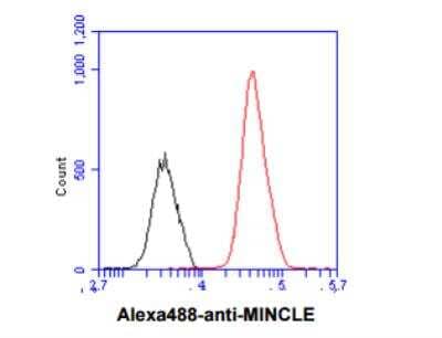 Flow Cytometry: CLEC4E Antibody (16E3) - BSA Free [NBP1-49311]
