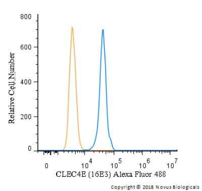 Flow Cytometry: CLEC4E Antibody (16E3) - BSA Free [NBP1-49311]