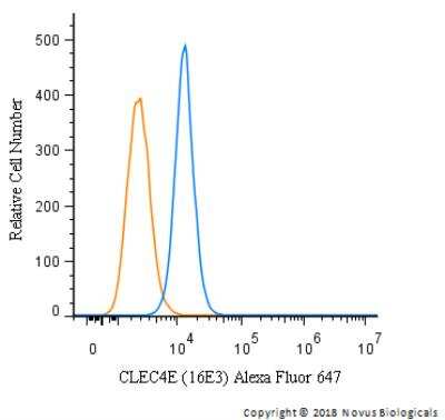 Flow Cytometry: CLEC4E Antibody (16E3) - BSA Free [NBP1-49311]