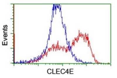 Flow Cytometry: CLEC4E Antibody (OTI2A8) [NBP2-45629]