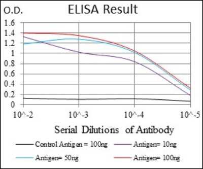 ELISA: CLGN Antibody (1C8B6) - BSA Free [NBP2-37348]