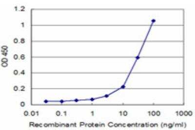 ELISA: CLIC3 Antibody (2C5) [H00009022-M04]