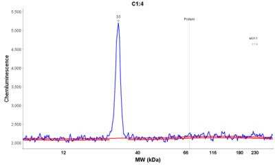 Simple Western: CLIC3 Antibody [NBP1-89465]