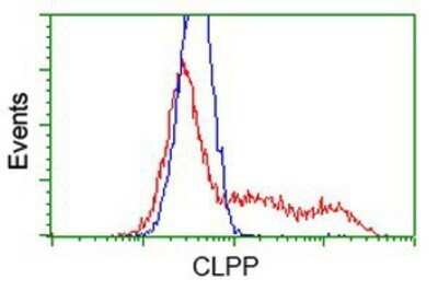 Flow Cytometry: CLPP Antibody (OTI1F6) - Azide and BSA Free [NBP2-71363]