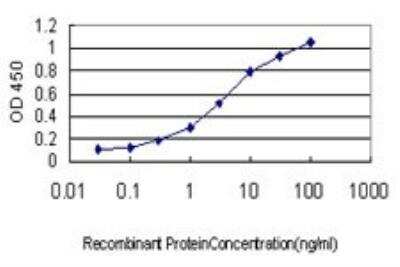 ELISA: CMTM4 Antibody (6G4) [H00146223-M01]