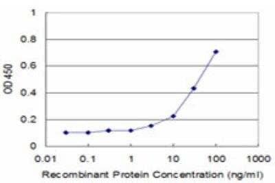 ELISA: CNOT2 Antibody (2E10) [H00004848-M03]