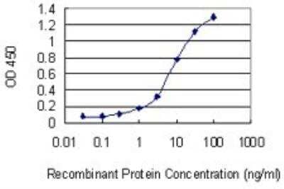 ELISA: CNOT3 Antibody (4B8) [H00004849-M01]