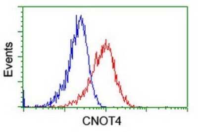 Flow Cytometry: CNOT4 Antibody (OTI3D11) [NBP2-46324]